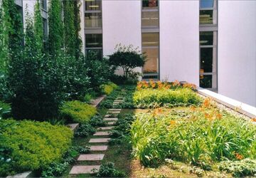 Bodendecker, Stauden, Sträucher, Kletterpflanzen, Beettrennung aus Naturstein, Schrittplatten