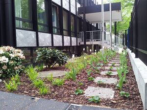 Frühlingsblüher am Haupteingang.