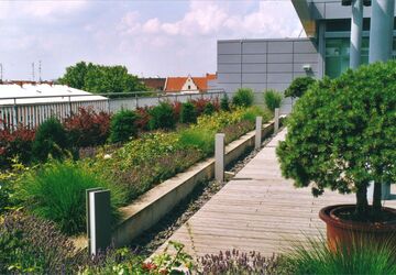 Holzterrasse mit Natursteineinfassung auf dem Dach.