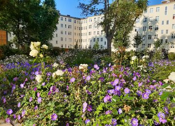 Foto blühender Staudenflächen im Hof